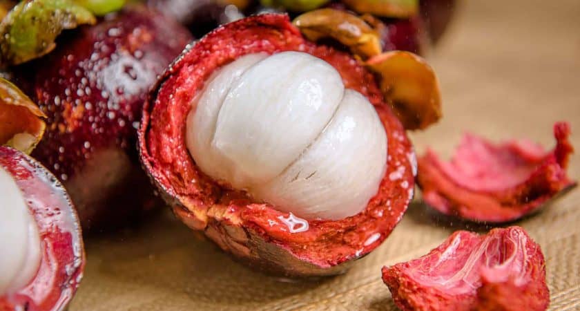 mangosteen 2126750 1920