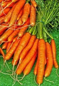 Karotten
