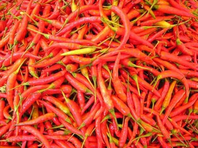 chilli pepper 449 640 1