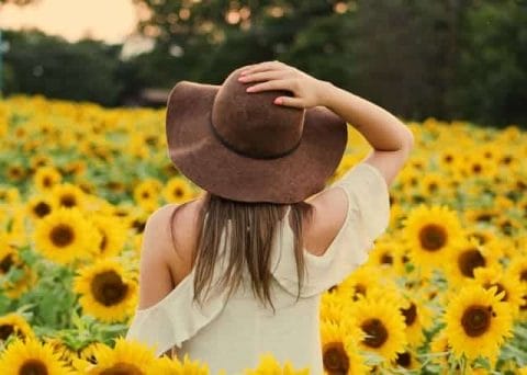  eine Frau geht durch ein Feld mit Sonnenblumen