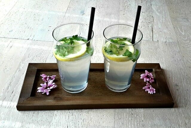  zwei Gläser Wasser mit Zitrone