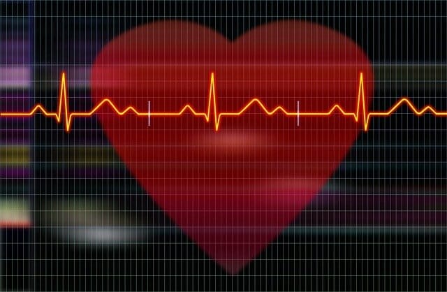  Grafik des Herzens und Elektrokardiogramm-Aufzeichnungen
