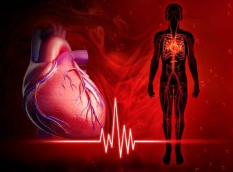  Herz und Kreislaufsystem