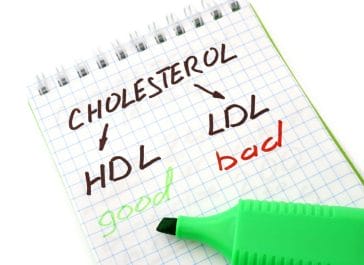  Gutes und schlechtes Cholesterin
