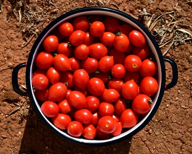  Tomaten im Kochtopf
