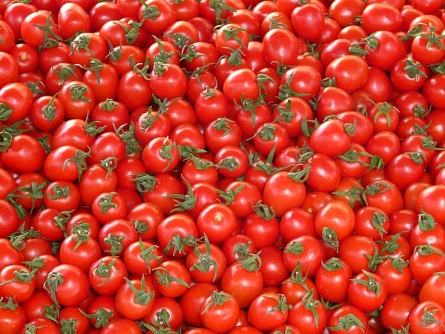  tomaten